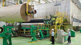全球最大造纸厂为何落户印度