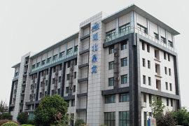 湖北鼎龙控股股份有限公司2019 年半年度业绩预告