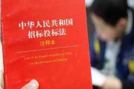 政采电子化平台该朝什么方向发展？零经验者也能顺利投标