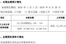 納思達2019年半年年度業績預告