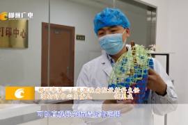 新华社全球播报：郴州市第一人民医院利用3D打印出湖南首例新冠肺炎模型