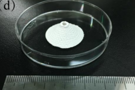 研究人员开发能够抑制HPV感染的3D打印植入物