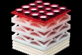 日本全球首家量身定制3D打印寿司店即将开业
