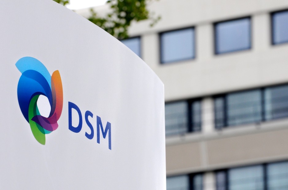 dsm-1.jpg