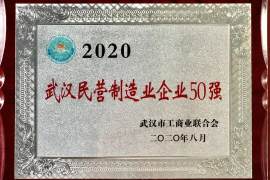 鼎龙上榜2020武汉民营制造业企业50强