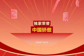 中国代表团唯一企业代表，天威再赴国际标准会议