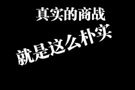 竞标政府军舰打印合同，惠普竟被起诉？