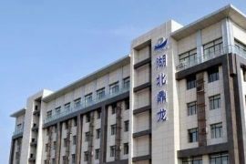 鼎龙股份发布2025上半年业绩报告