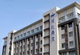 鼎龙股份发布2025上半年业绩报告