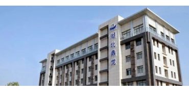 鼎龙股份发布2025上半年业绩报告