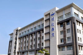 鼎龙股份发布2025第三季度财报