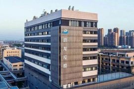 鼎龙控股发布2025年度业绩预告