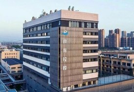 鼎龙控股发布2025年度业绩预告