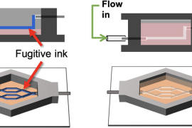 科学家使用生物3D打印和计算机建模来预测癌症增长