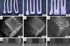 3D打印多孔镁脚手架显示出作为骨替代材料的潜力