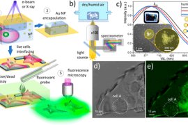 NIST科学家在纳米尺度上开发3D打印凝胶和软材料的新方法