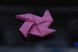 科学家开发出会“72变”的生物材料：3D打印成任何形状，还有“好记性”