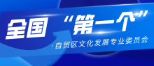 全国首个自贸区公共文化发展专业委员会在京成立