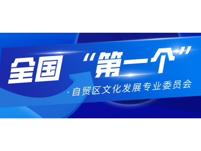 全国首个自贸区公共文化发展专业委员会在京成立