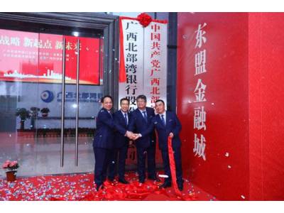 广西自贸试验区南宁片区迎首家总部银行