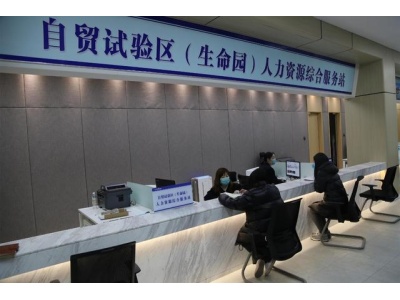 中国自贸试验区（生命园）人力资源综合服务站开放